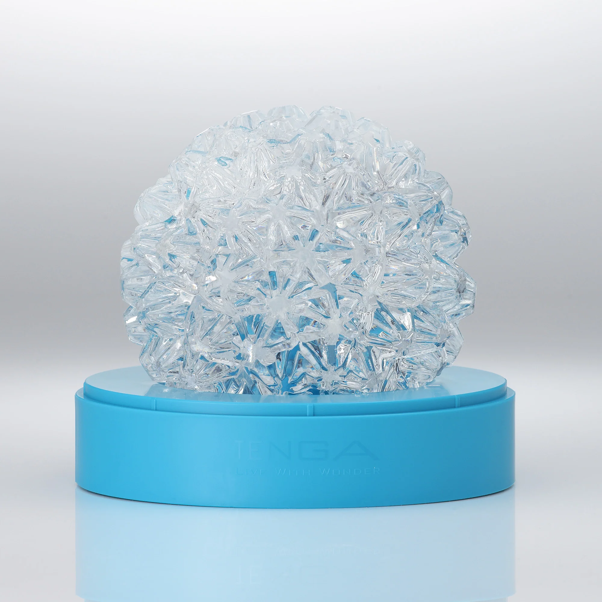 GEO CORAL - Image 4